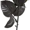 Gothic Skull Black Rose